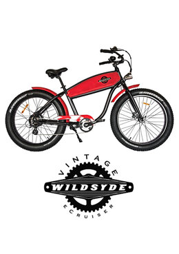 Pepi Sports Vintage Style E-Cruiser
