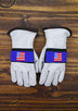 ASTIS BALD EAGLE mens misc ski mens ski gloves