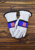 ASTIS BALD EAGLE mens misc ski mens ski gloves