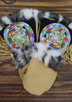 ASTIS HUMBOLDT MITTEN lady misc ski ski mittens