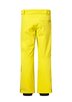 DESCENTE SWISS 4WAY STRETCH BIB mens ski pants warm pants