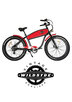 Pepi Sports Vintage Style E-Cruiser summer rentals bike rentals